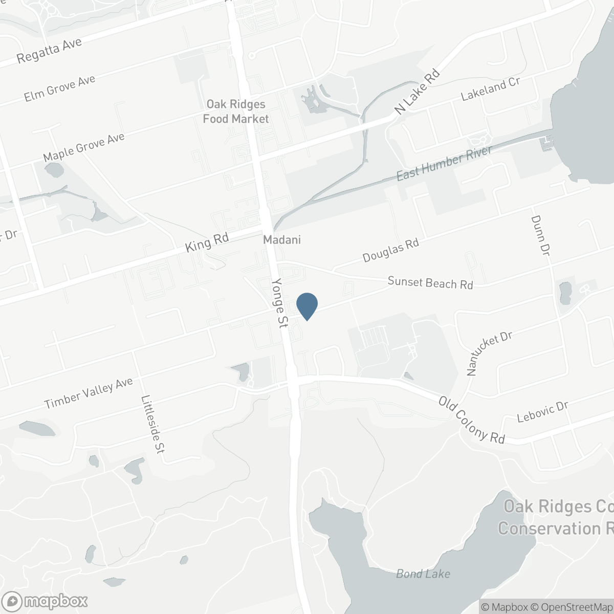 28 LAKE AVENUE, Richmond Hill, Ontario L4E 3G3
